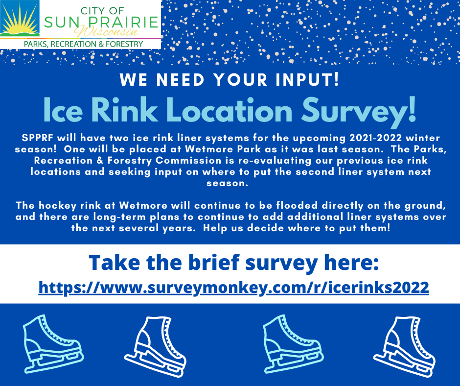 Ice skating rink public input!