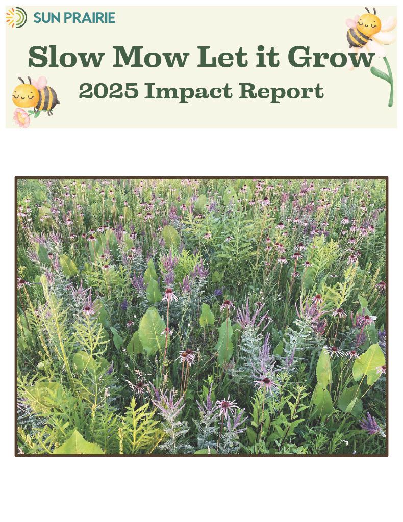 Slow Mow Let it Grow Final Report Page 1
