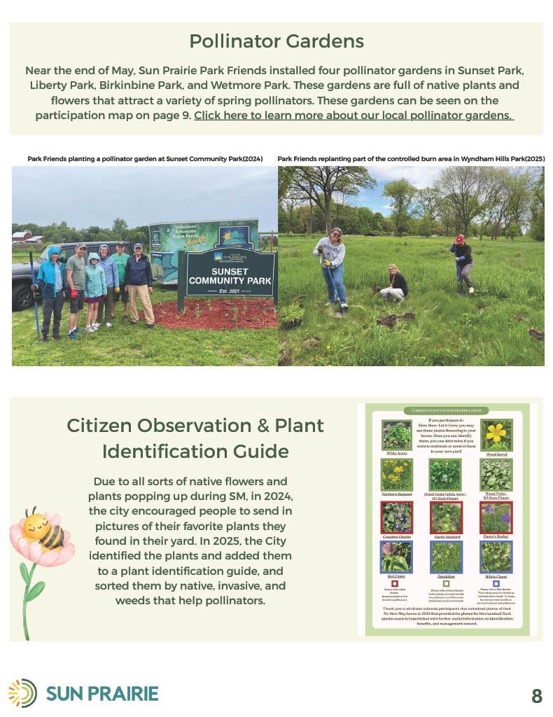 Slow Mow Let it Grow Final Report Page 9